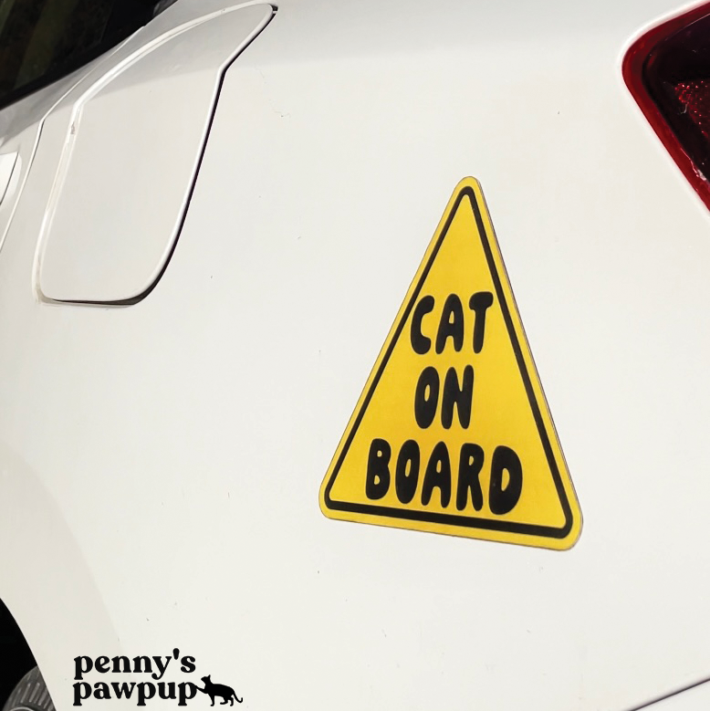 Cat On Board Magnet