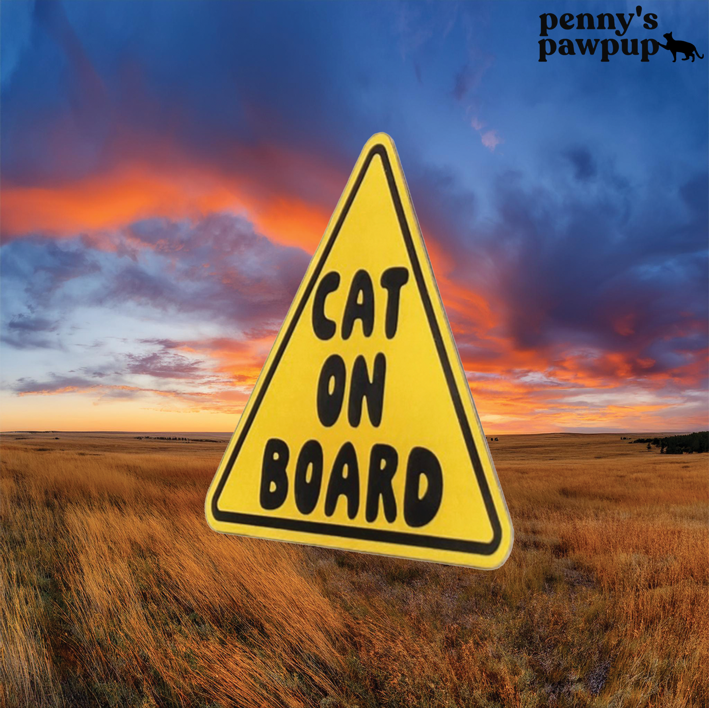 Cat On Board Magnet