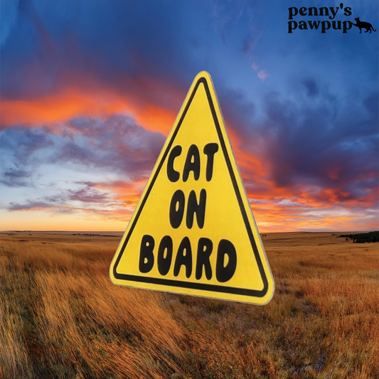 Cat On Board Magnet